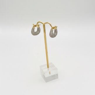 Stainless steel earrings